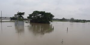 भारतीय ड्यामले मोरङमा नेपाली भूमि डुवानमा