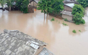 कैलालीका भजनी र जोशीपुरका वस्तीमा बाढी पस्यो, १०० घर परिवार प्रभावित