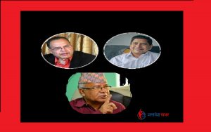 माधव, झलनाथ र नारायणकाजीले उठाए कार्यदल गठनमाथि प्रश्न