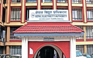 सबस्टेसनको प्यानलबोर्डमा मुसा देखियो : प्राधिकरण 