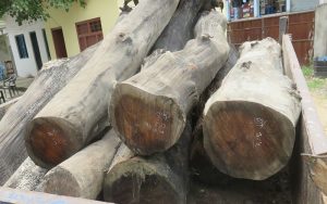 प्रहरीमाथि काठ तस्करले गरे आक्रमण, दुई प्रहरीसहित ५ घाइते