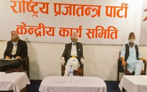 राप्रपाले अन्तरिम विधानमा सुझाव दिन समिति गठन