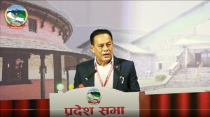 ‘प्राज्ञिक संस्थालाई नेकपाको भ्रातृ संगठन बनाउन खोजियो’