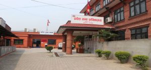 लुम्बिनी र भालुवाङको पक्षमा मतदान गर्न नेकपा संसदीय दलको निर्देशन