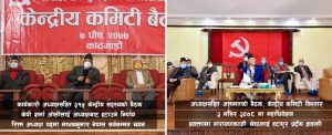 नेकपा फुट्यो , माधव नेपाल बने अध्यक्ष