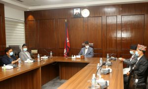 संवैधानिक परिषद्सम्बन्धी अध्यादेश खारेज